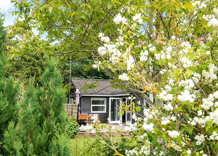 Stunning In With Wifi * Nysted